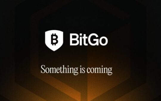 Bitgo Contains Waves In A Public Supply Of 2025 Ipimidrid