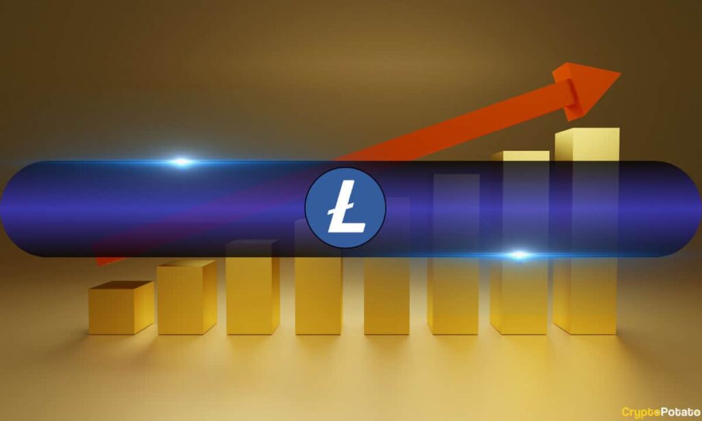 Calcoon (Ltc) Installed More Than 46% In 2 Weeks In 2 Weeks In 2 Weeks