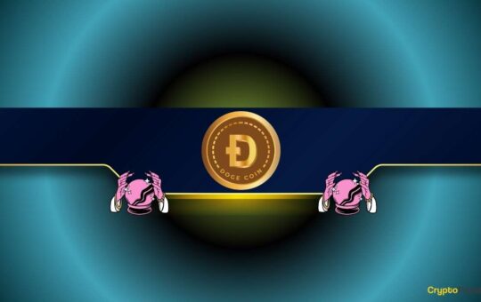 Dogcoin Price: 15% Reducing 15% In 2 Days - The Bigger Comes?