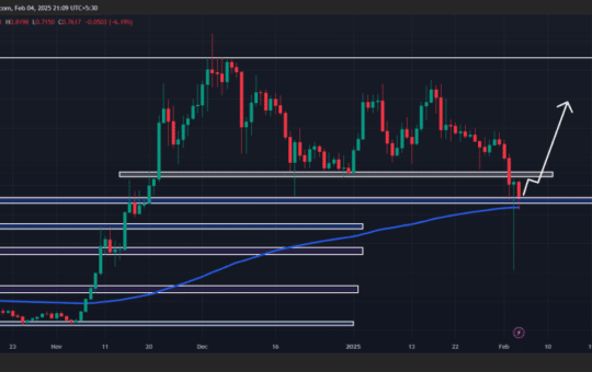 Throughts Of Whales, 330 Million Cardano (Ada), What'S Next?