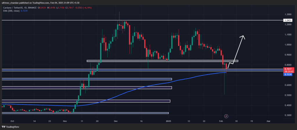 Throughts Of Whales, 330 Million Cardano (Ada), What'S Next?