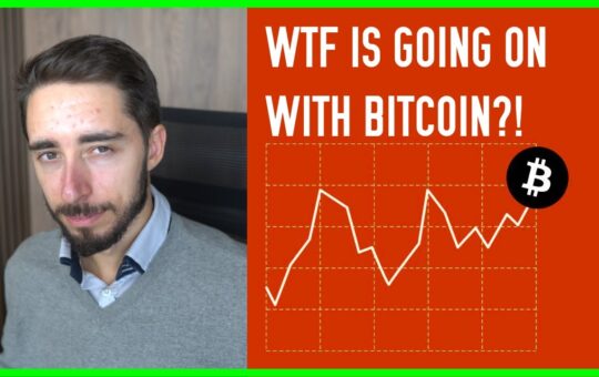 Wtf Is Going On With Bitcoin The Brutal Truth