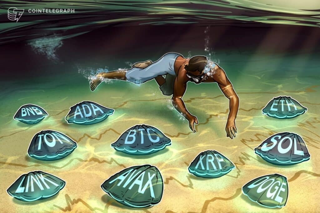 Bcc, Xp, Xp, Bob, Dodge, Dodge, Dodge, Dodge, Dodge, Link, Link