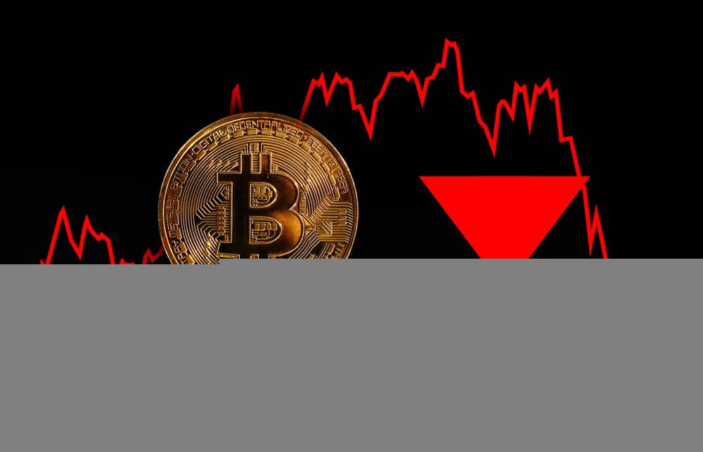 Bitcoin Petpetsthers Will Damage Bitcoin, Dogcoin, Dogcoin 1 Buy The Dip