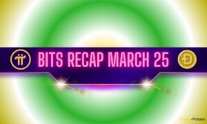 Recent Pi Network Network, Signators And Others: Bits March 25
