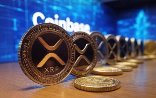 Coinbase Xrp, Nano Xrp Preset Terms Contractors