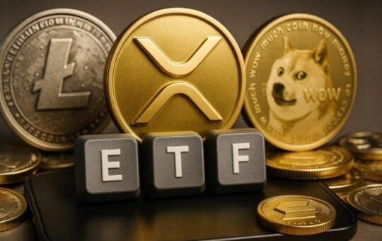 The Xrp Sot Etf Has 85% Of Approval Of 85% Of The Ability To Approve 85% Of The Blueberg