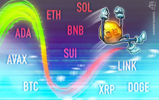 Bcc, Xp, Xp, Bfa, Dodge, Dodge, Dodge, Link, Link