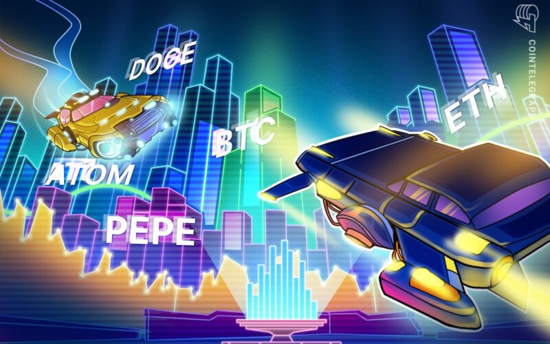Bikko Price Prices To Hip, Degge, Pepper And Ant