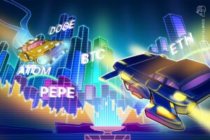Bikko Price Prices To Hip, Degge, Pepper And Ant