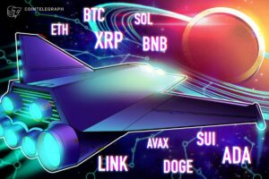 Bcc, Xp, Xp, Bfa, Dodge, Dodge, Dodge, Link, Link