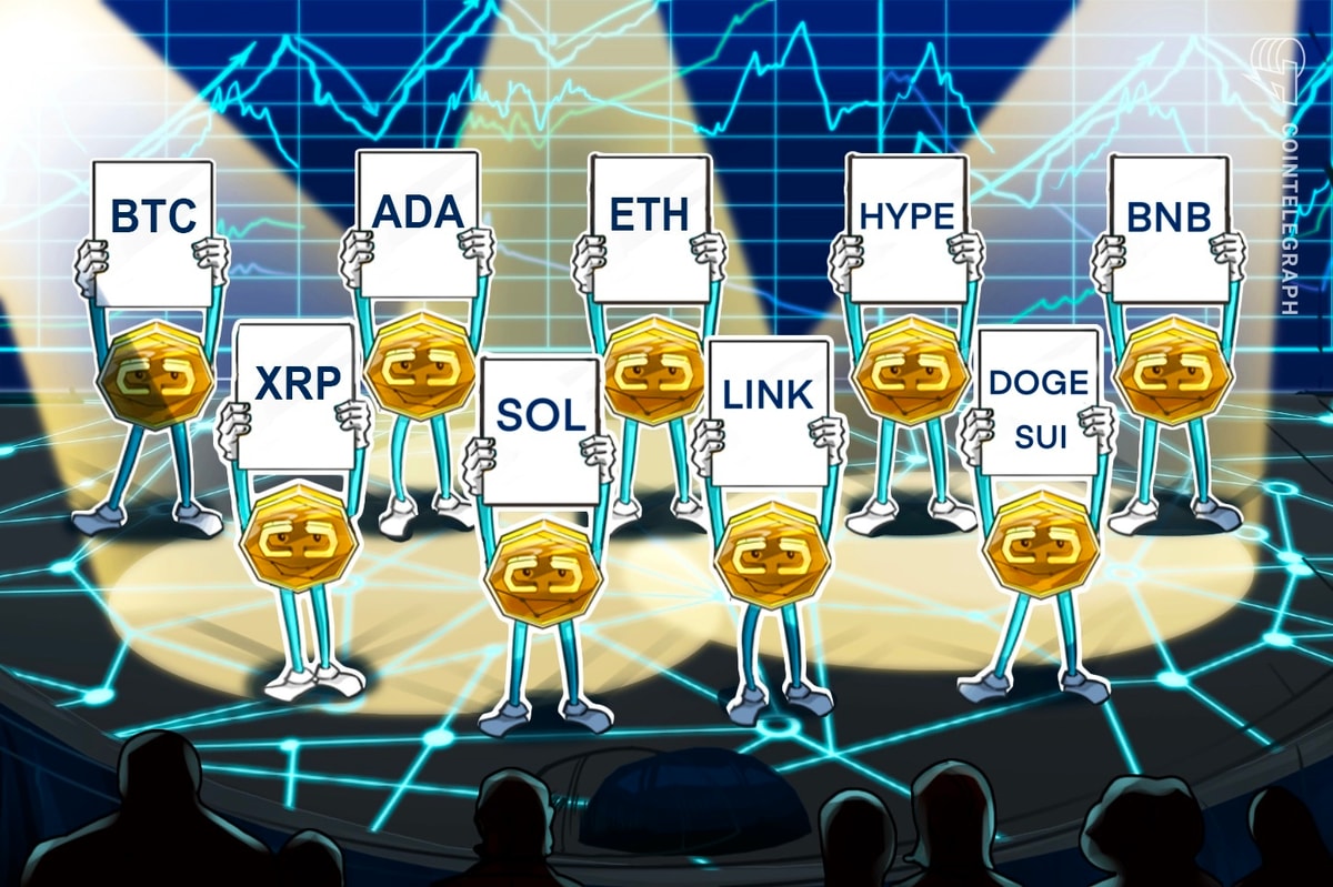 BCC, XP, XP, BFA, Dodge, Dodge, Dodge, Dodge, Dodge, Dodge, Hiy, Hi