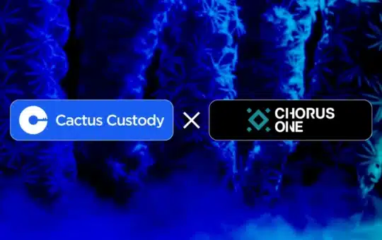 Cactus-Custody-Chorus-One
