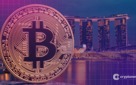Singapore Crypto Survey