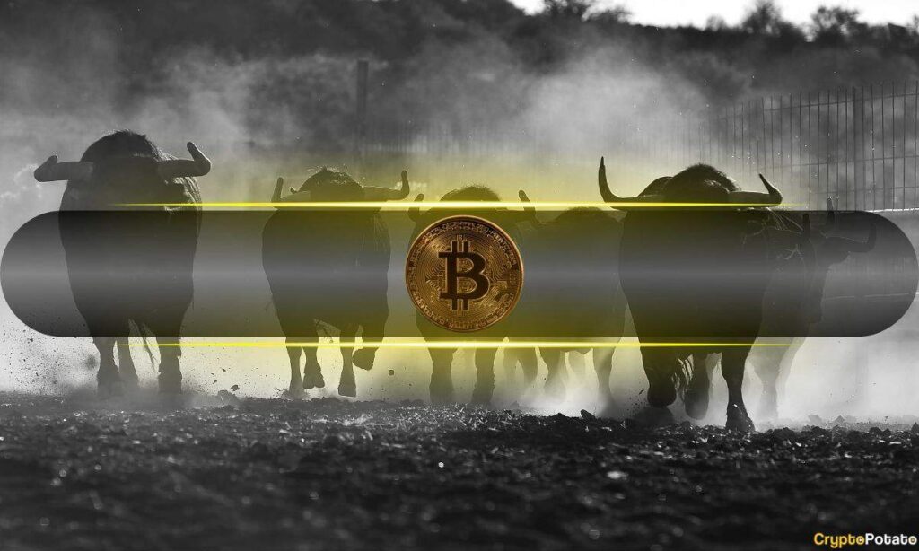 Baticon Measures More Than Six Numbers Of Six Numbers, Analysts