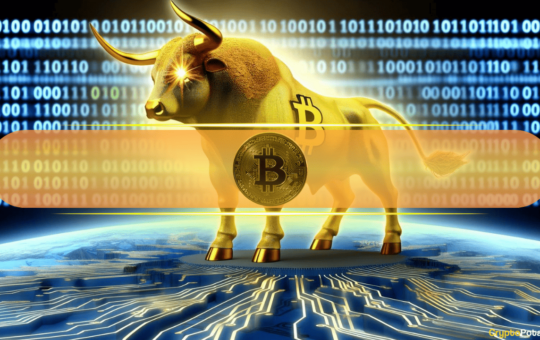 Bitcoin Rull Outcome Input Furniture Furnished Hope