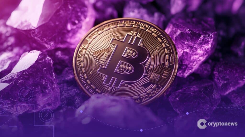 Bitcoin Forces Papsy Data Warning