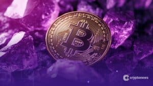 Bitcoin Forces Papsy Data Warning