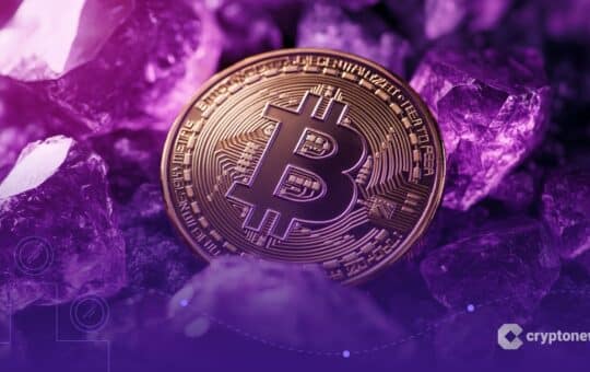 Bitcoin Forces Papsy Data Warning