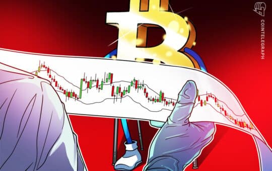 Bitcoin Profile From 106 Kg