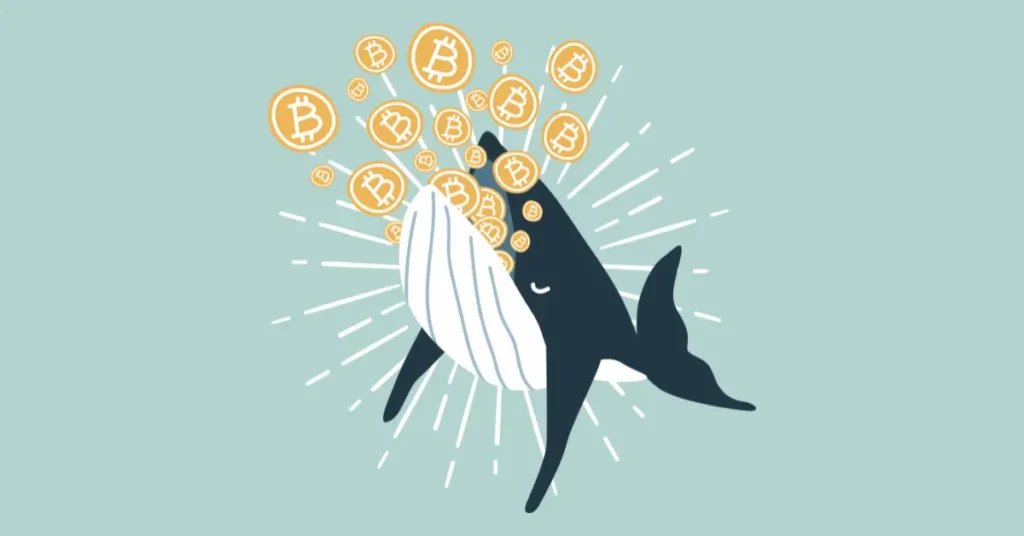 Bolkin Group To Enhance The Bitcoin 63.3.3.3.3.3.3.3.3.3.3.3.3.3.3.3.3.3.3.3.3.3.3.3.3.3.3.3.3.3.3.3.3.3.3.3.3.3.3.3.3.3.3.3.3.3.3. 3.3.3.3.3.3.3.3.3.3.3.3.3.3.3.3.3.3.3.3.3.3.3.3.3.3.3.3.3.3.3.3.3.3.3.3.3.3.3.3.3.3.3.3.3.3.3.3M It Completes Turbine Chains 1 Bitcoin Whale Moves $221M As Price Tops $65K