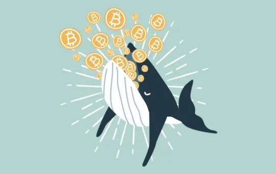 Bitcoin Whale Moves $221M As Price Tops $65K 