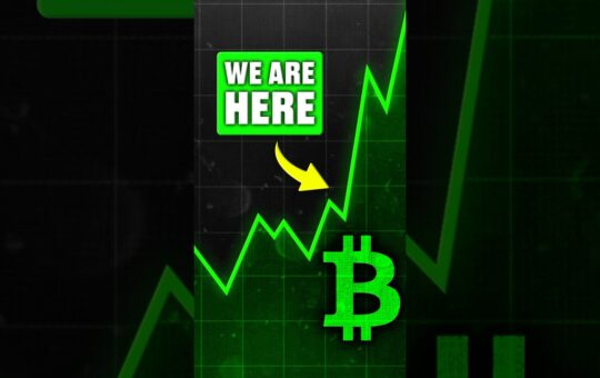 Crypto Bull Run Is Starting