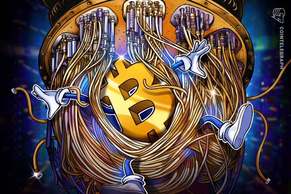 Do The Bitcoin Network Risk