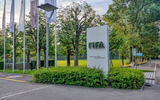 Fifa Has A Lot Of Purpose On The Multi-Purpon Block Area On The Fan Forest