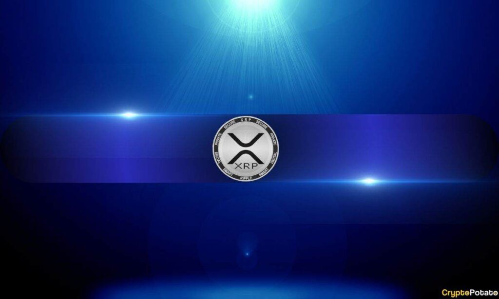 Should Bitcoin Maxis Lab Be The Effects Of The Xrp?