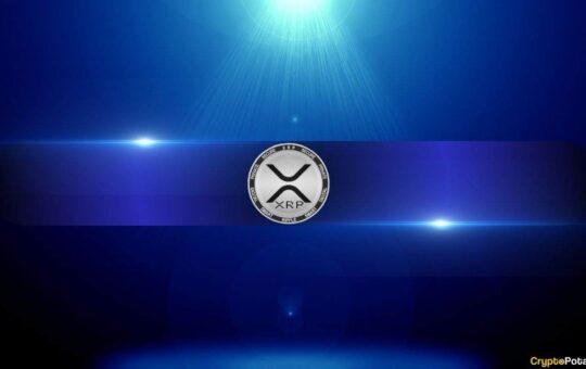 Should Bitcoin Maxis Lab Be The Effects Of The Xrp?