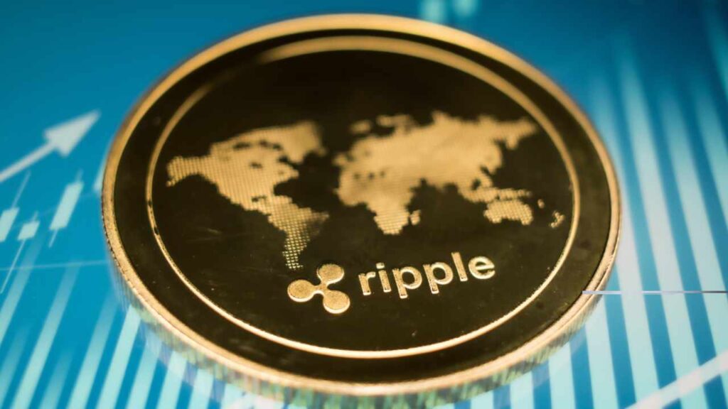 The Riprets Ungrateful Bidders Will Be Explained: Experts Of The Crocket $ 10 Bbb