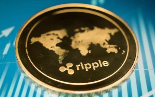 The Riprets Ungrateful Bidders Will Be Explained: Experts Of The Crocket $ 10 Bbb