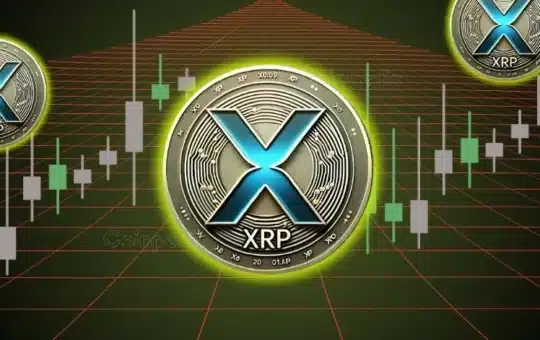 The Xrp Value Of The Xrp'S 50% Wondering