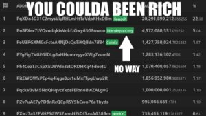 This Doge Mining Pool Robbed 436 Million Dollars From Crypto
