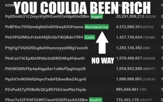 This Doge Mining Pool Robbed 436 Million Dollars From Crypto