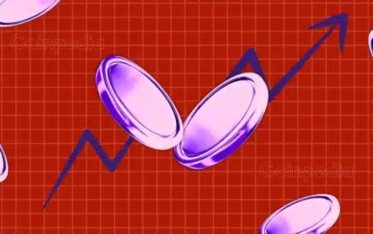Tickens That Are In Line With The Next Bull