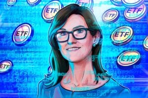 When The Pocket Bag Adopted, Smelipto Esfs 'Don'T Drop' - Catiin Woods