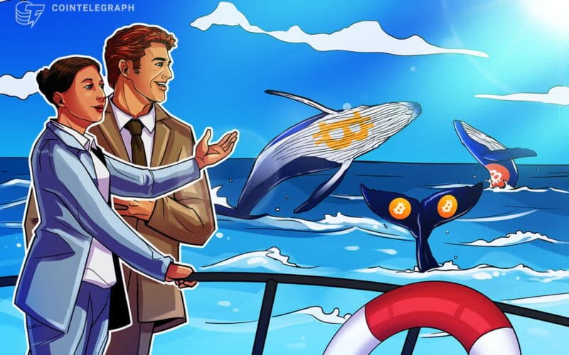 While Others Sell Big Bitcoin Wallets