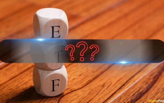 Xrp, Dogg, Ltc, And Solt Etfs When You Start This Summer? This Professional Says That