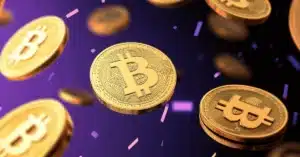 Elon Musk Bitcoin Buyimg