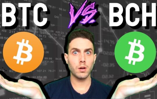 Bitcoin Vs Bitcoin Cash Btc Vs Bch Debate Explained