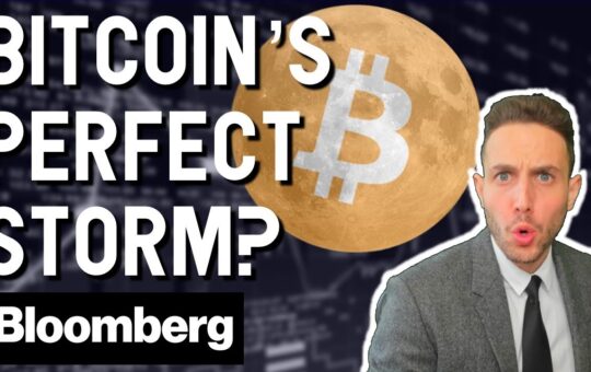Bloomberg Analyst Bitcoins Perfect Storm Coming With Recession Halvening