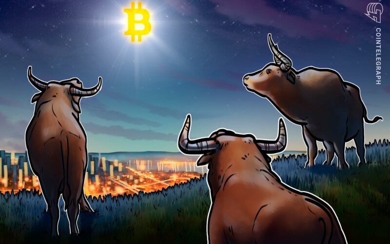 Btc Price Targets For  Shopping Market&Gt; There Is No End In This Fmccoin Bull Market.