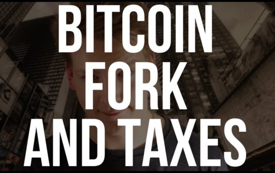 Bitcoin Fork Forced To Pay Taxes Programmer Explains