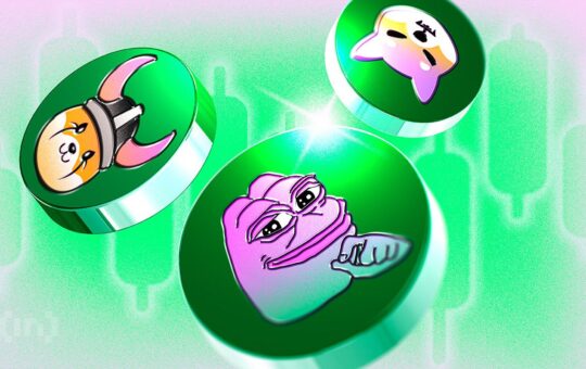Bnb Meme Coin Outperforms Top Tokens With 23% Rise