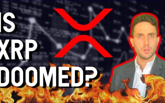 Does Ripple Ipo Signal Xrp Doom Uber Lyft Wework And