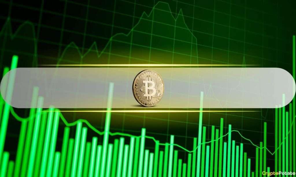 Etfs, Macro Trends And $ 114 Billion Dollars Bitcoin Fluid