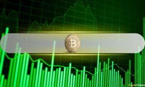 Etfs, Macro Trends And $ 114 Billion Dollars Bitcoin Fluid