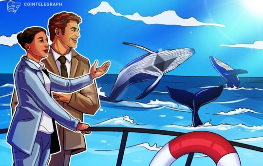 Ethermerum Arees, Sharks Retail Stores Continued To Buy Theological Status Of Crime